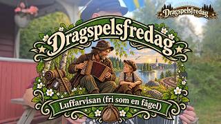 Dragspelsfredag | Luffarvisan (fri som en fågel)