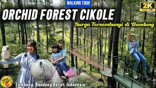 Walking Tour WISATA ORCHID FOREST CIKOLE | Keindahan Surga Tersembunyi di Bandung