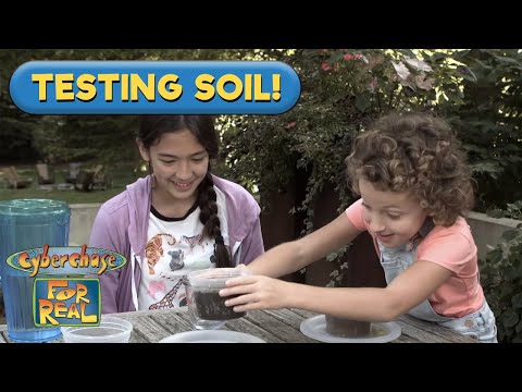 The Hidden Secrets of Soil