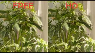 Free vs HD Virtual Backgrounds – The 4K Monitor Test