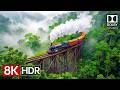The Most Beautiful Nature 8K HDR | Relaxing Cinematic Scenery