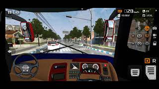 Usa Bus Drive On Road. Usa Driving Licence And Public Bus