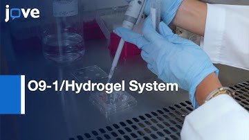 O9-1/Hydrogel System to Study Mechanical Signals in Neural Cells | Protocol Preview