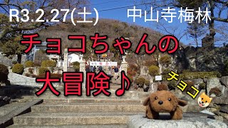 チョコちゃんの大冒険♪62☆2-2中山寺と梅林へ