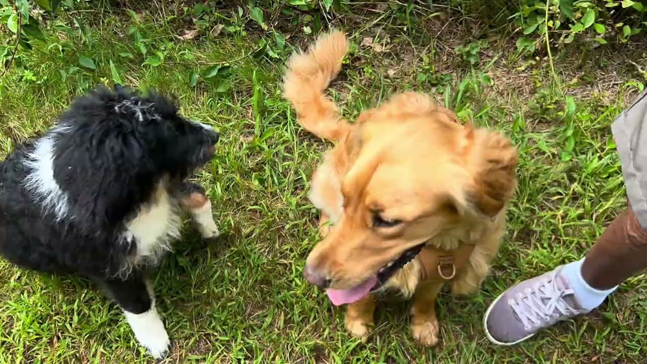 Travis Kelce aka Tailer B. Swift’s Relief Pitcher The Early Years