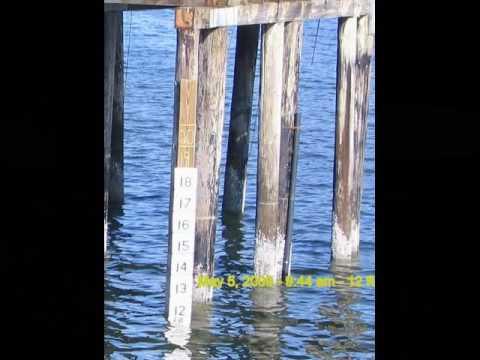 Anchorage Tidal Range 97