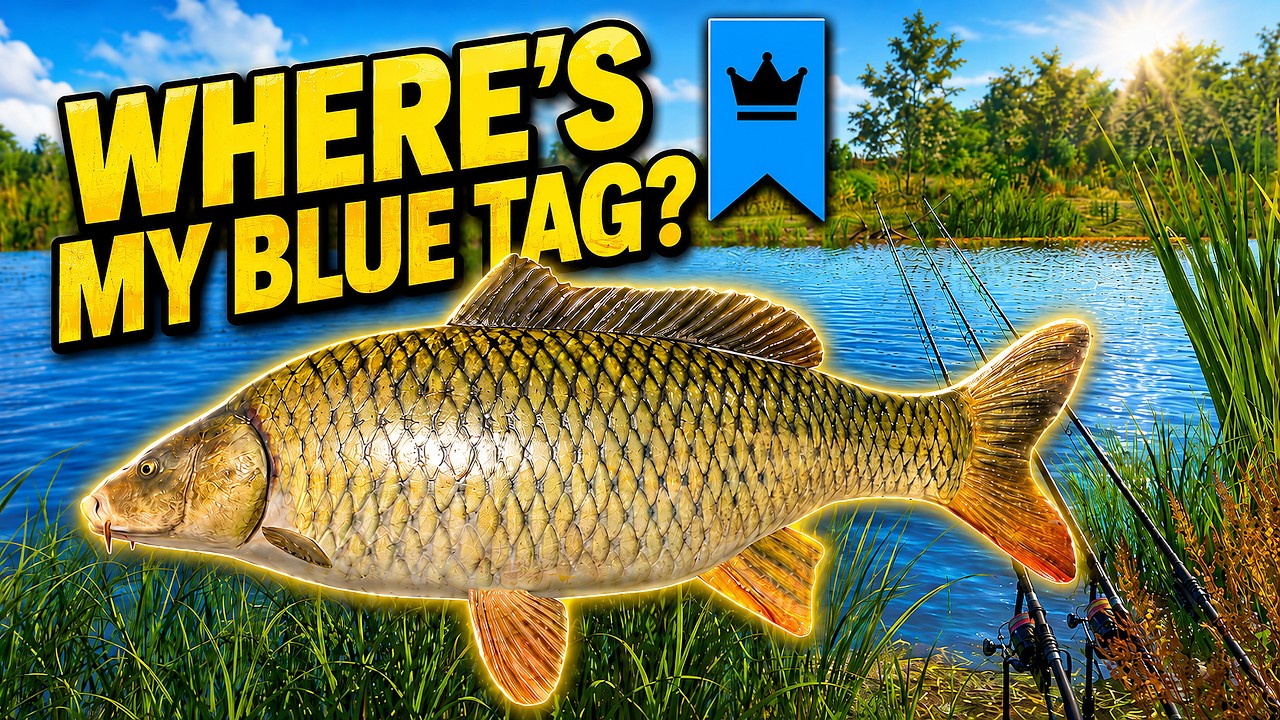 F1 Blue Tag Rf4 No Blue Tag Compilation | Wild Carp Trophy RF4 - YouTube