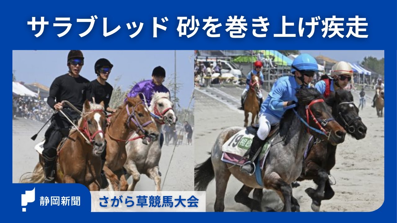 サラブレッド、砂を巻き上げ疾走！ 牧之原で「草競馬大会」 - YouTube
