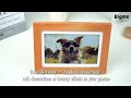 Bigme F7 Pro – 7.5 HD Color Eink Photoframe&amp; Calendar &amp; Memo Reminder