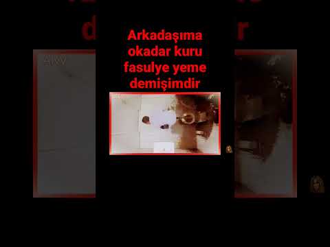 #keşfet sıçan adam video tutsun