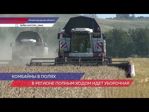 Уборочная компания продолжается