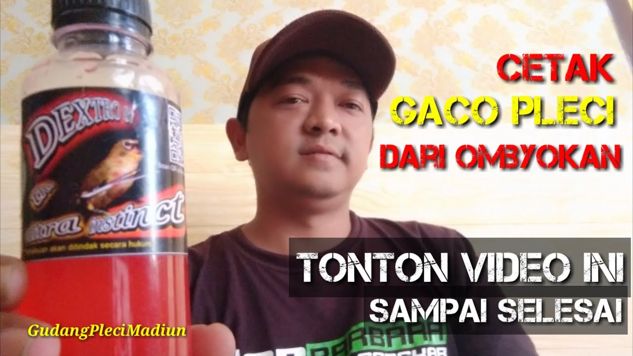 Tips pemasteran pleci ‼️ Dari ombyokan Jadi gaco