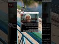 الممثل ال ظهر فى مسلسل كارثه طبيعيه مع الاسف اتوفى من شهر اكسبلور