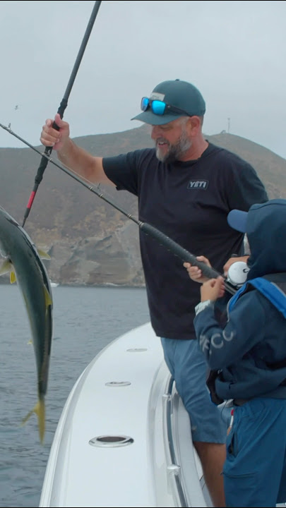 There are a lot of things to love about the Coronado Islands!