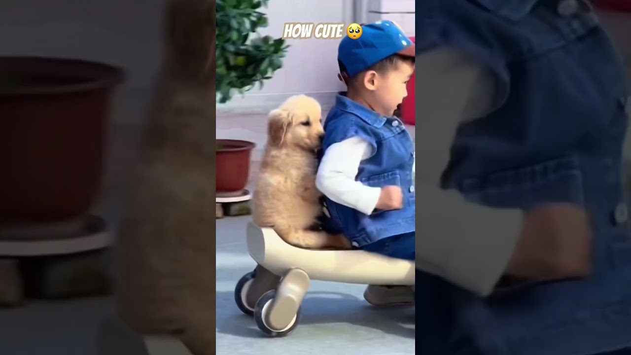 🐶🚴‍♂️ The Cutest Golden Retriever Pup's Bike Adventure with a Kid! 