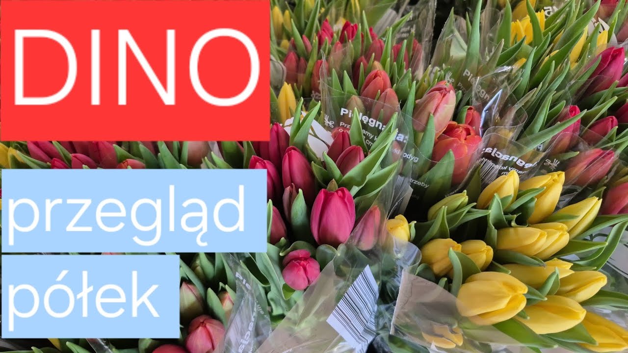 DINO 🌷 KWIATY, AKCESORIA OGRODOWE, KOSMETYKI