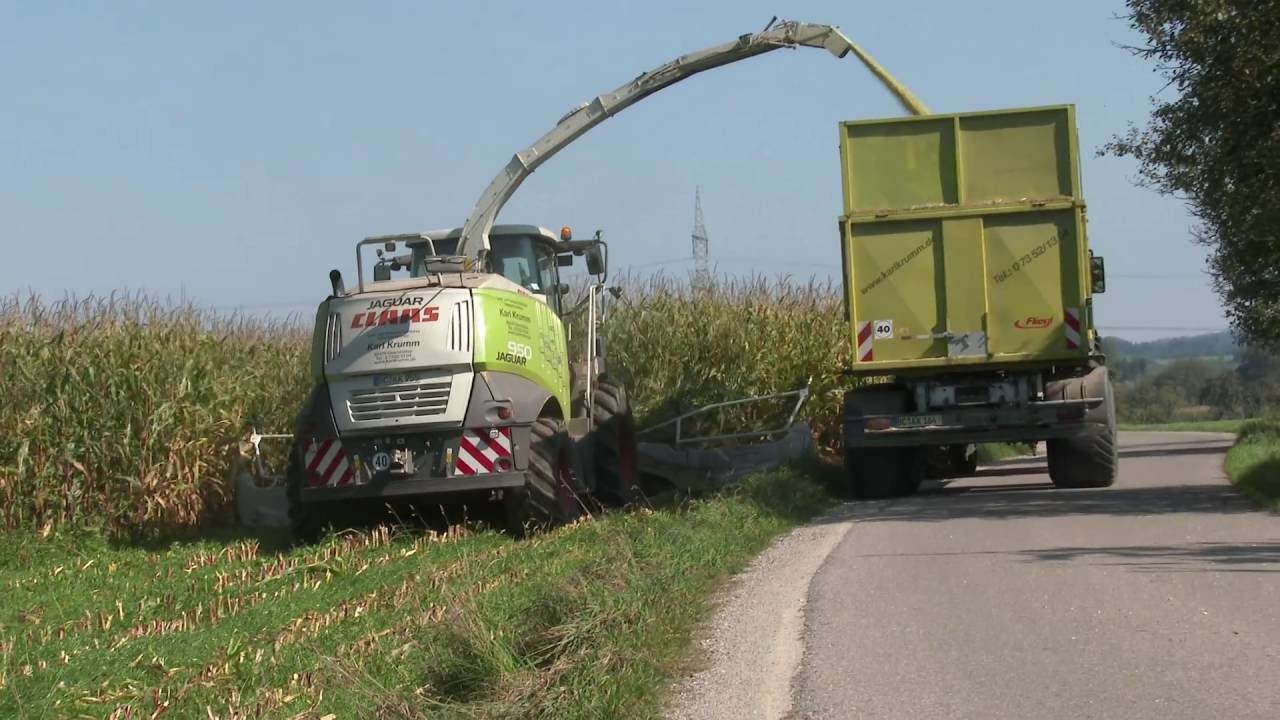 Maishäckseln 2016 [4K] mit Fendt, JCB, MB Trac