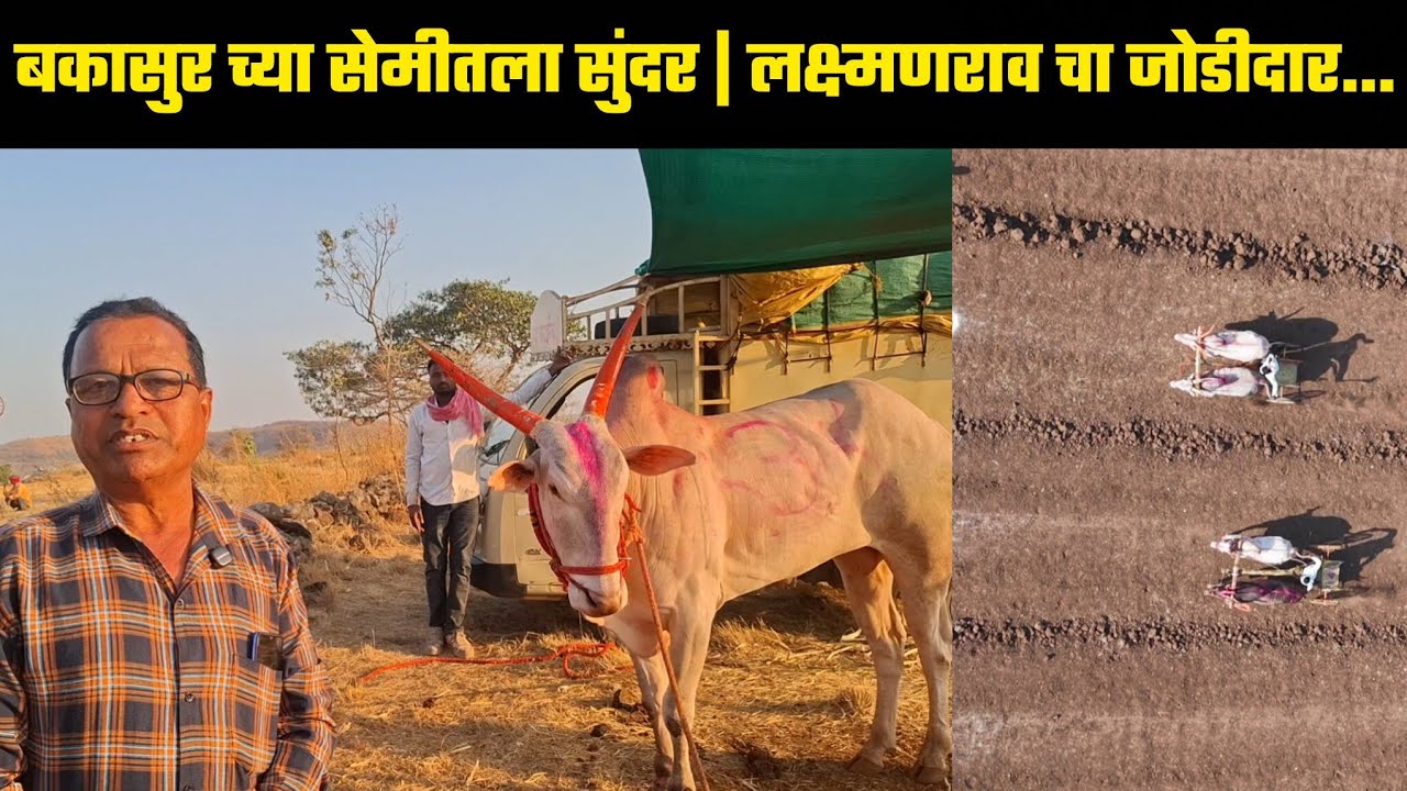 बकासुर च्या सेमीतला सुंदर | लक्ष्मणराव चा जोडीदार...