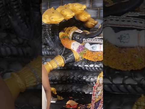 అనంత పద్మనాభ స్వామిగా వినాయకుడు