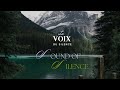 Sound of silence french version  la voix du silence  diana cassiopea