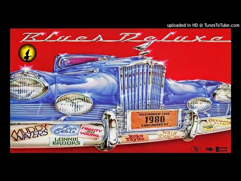 Koko Taylor - Hey Bartender [Live] (Kostas A~171)