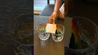 Growing Rainbow Experiment 🌈 | Easy Science Experiment for Kids | STEM Activity