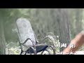 اناني خاين كذاب مقصودة    نجومي