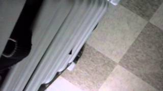 CAM02177.mp4