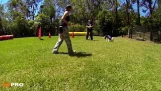Handler focus with drive