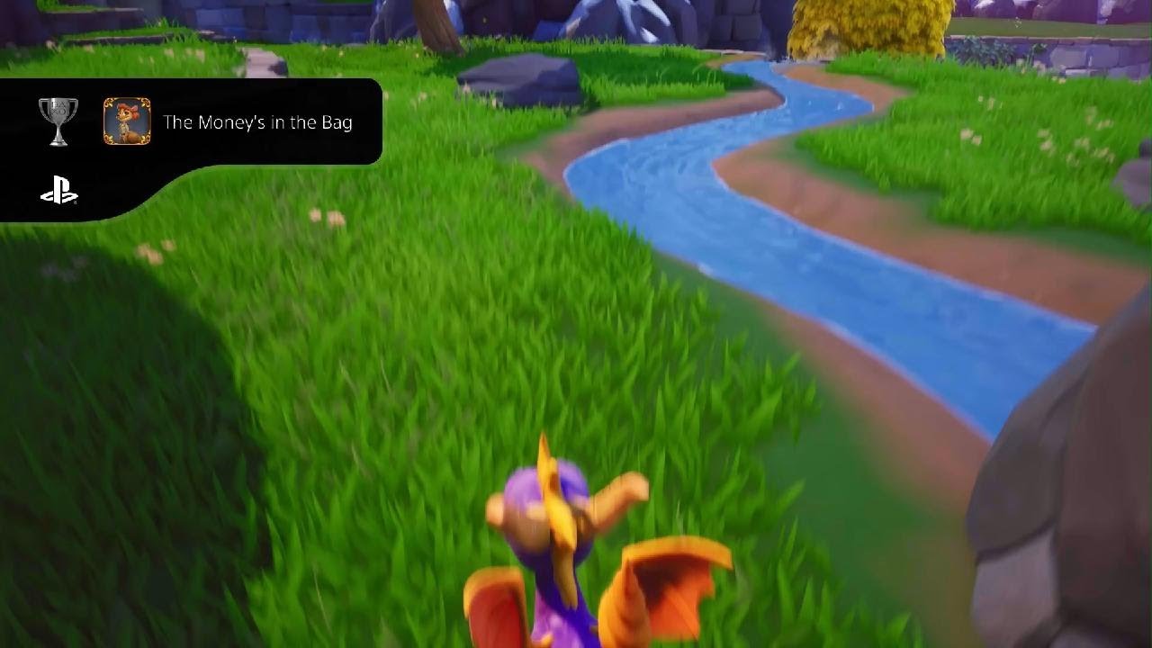 Spyro Reignited Trilogy The Money's In The Bag
