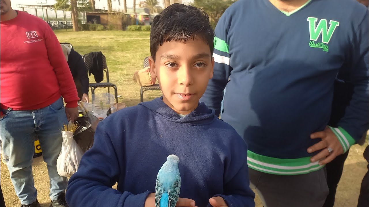 💚مسابقة احكيلنا تجربتك بدأت ازاي⁉️والجائزة مفاجأة💯💚⚘️