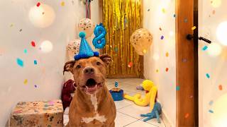 HOJE É O ANIVERSÁRIO DO SEBASTIAN 🥳🎉 | Fizemos Uma Surpresa Pra Ele!