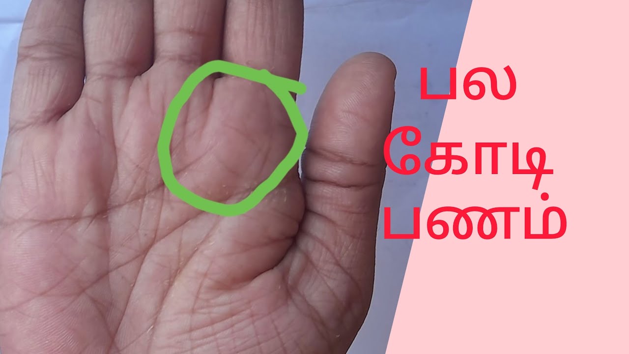பலகோடி பணம் அதிர்ஷ்ட வாழ்க்கை அதிகாரப் பதவி குரு பலன்கள் ll palmistryvideo llastrology கைரேகைஜோதிடம்