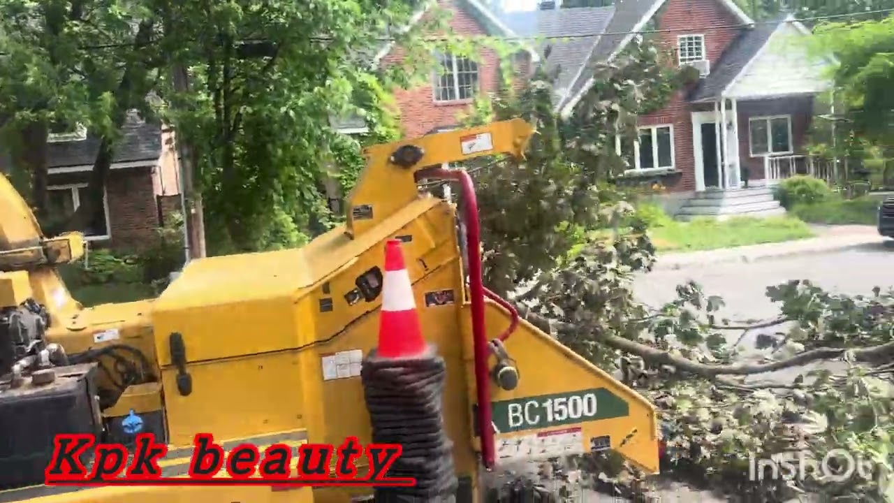 tree removal machine  June 25, 2025