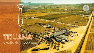 Tijuana y el Valle de Guadalupe  Viñedos y casas vinícolas en Baja California (México)