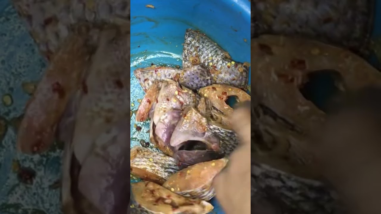 Air-fryer steam fish cooking #steamfish  #steamfishrecipe #shorts #blesskitchen