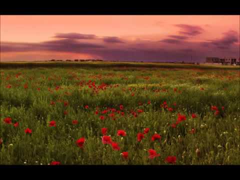 Karunesh — Karunesh   Zen Breakfast