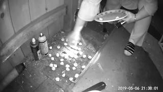 Oak Bay Chicken Coop Rats YouTube