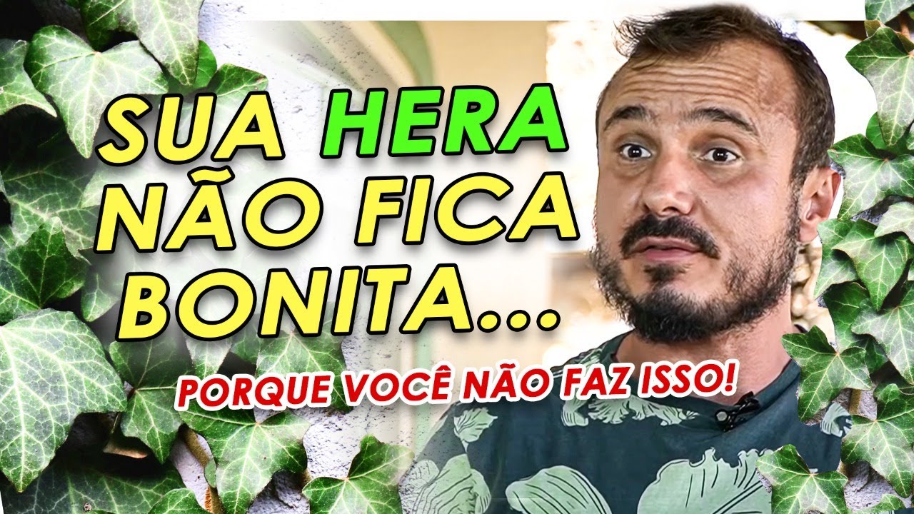 AQUI ESTÁ O PORQUÊ SUA HERA NÃO FICA BONITA