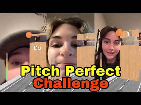 The Warning - Pitch Perfect Challenge 🎶