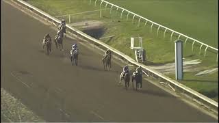 Fair Grounds, Race 7  -12 FEB 2026