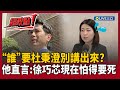 徐巧芯相關爭議