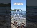 71-7「船方さんよ」三波春夫の曲。cover氷川きよし。