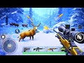 Animal Shooting Game 🔥| wild hunting animal shooting Game🔥| शूटिंग वाला गेम 👑 shooting Game android