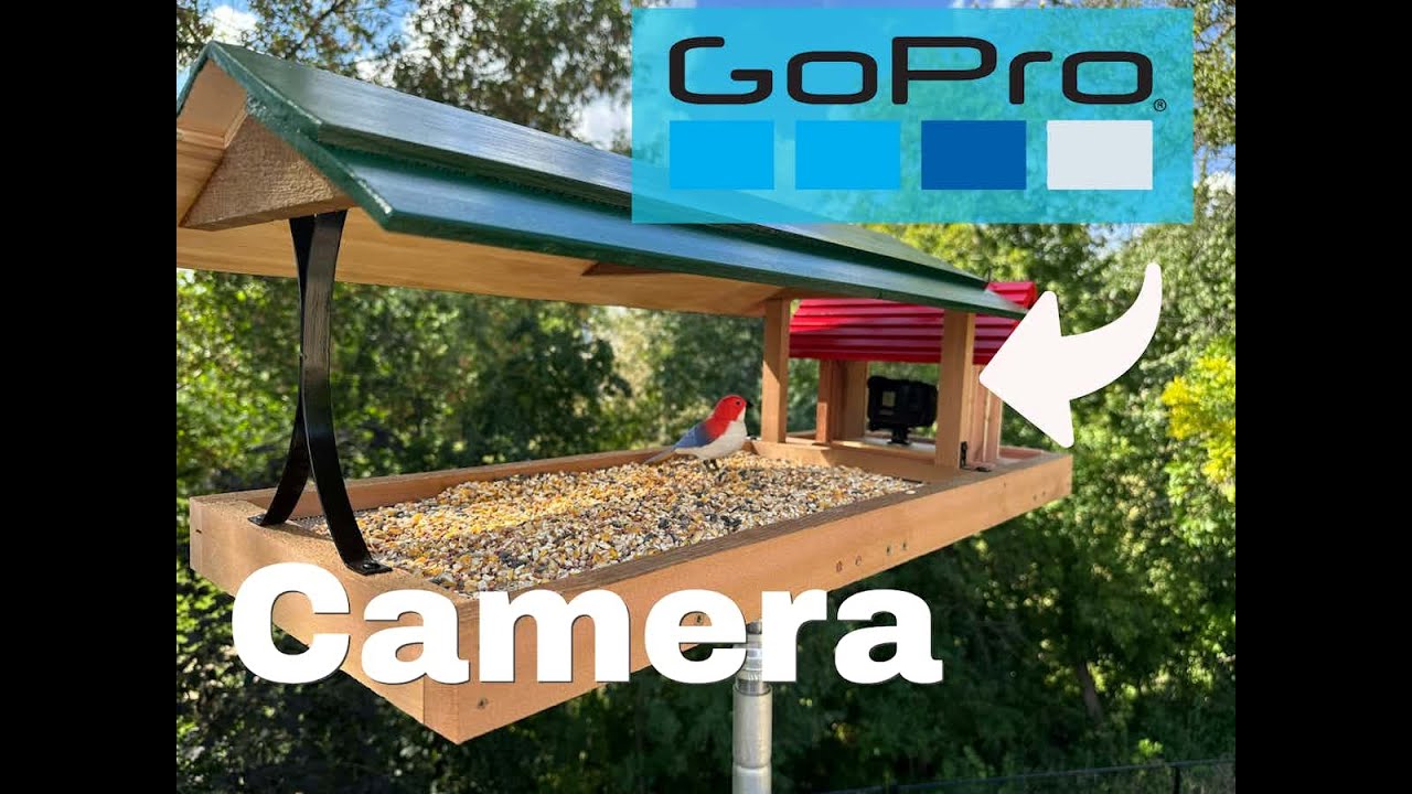 How To Make A Bird Feeder With Go Pro Camera