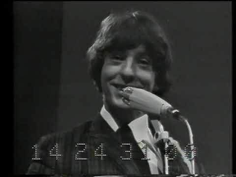 The Iveys - Bad Tough Luck Girl / Shout (1965)