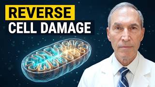 The Natural GLP-1 and Ketosis Effect for Parkinson’s