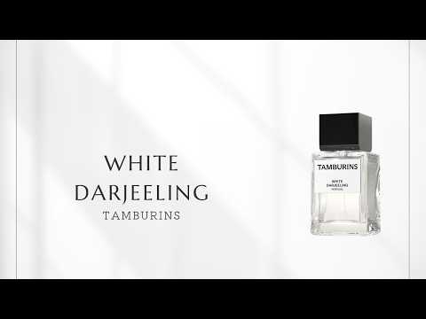 Episode 441] TAMBURINS White Darjeeling | The Lingering Skin Scent