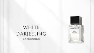Episode 441] TAMBURINS White Darjeeling | The Lingering Skin Scent