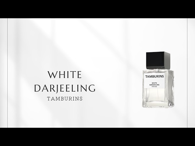 Episode 441] TAMBURINS White Darjeeling | The Lingering Skin Scent